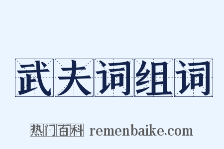 武夫词组词是什么意思的图片